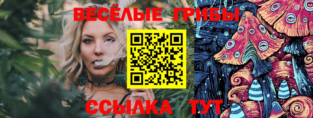где можно купить   Псилоцибиновые грибы Psilocybine cubensis  Вход с VPN  Фролово  Галлюциногенные грибы мицелий 