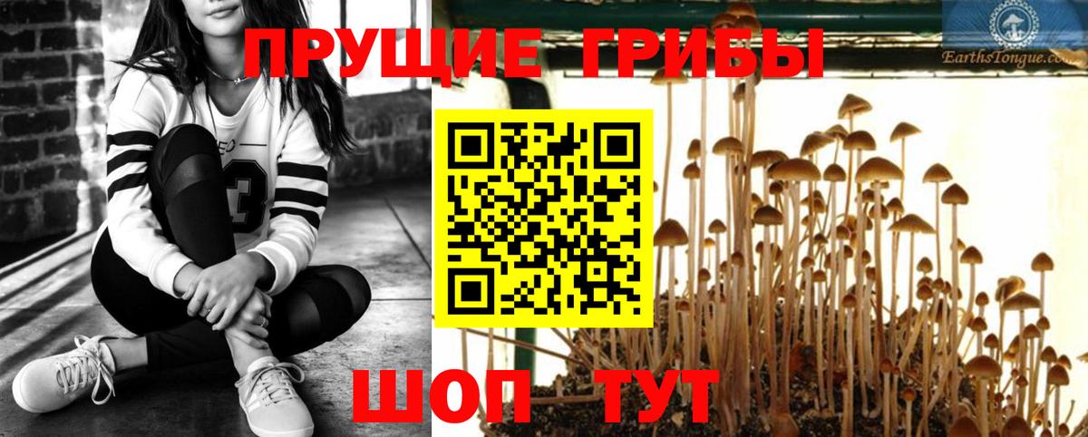 Псилоцибиновые грибы GOLDEN TEACHER Фролово